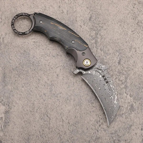Damascus Steel Karambit