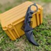 Karambit ✩ | Night