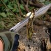 Nepalese Curved Knife