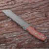 Shark Teeth Knife