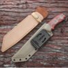 Shark Teeth Knife