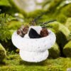 Fireless Aromatherapy Set