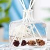 Dreamy Aromatherapy