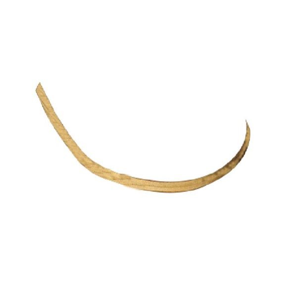 Snake Bone Necklace